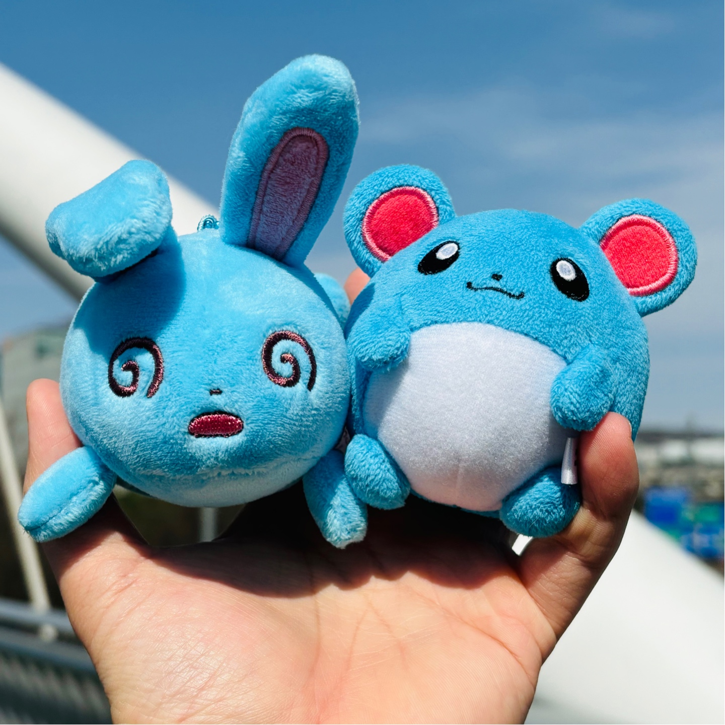 마릴 & 마릴리