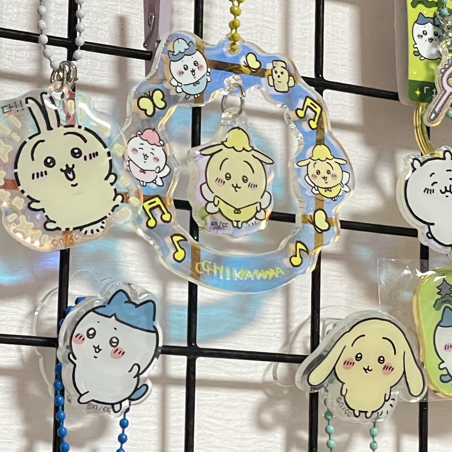 🌈✨와글와글🫧🫧