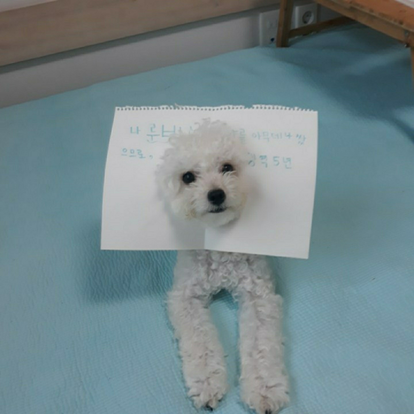 루비