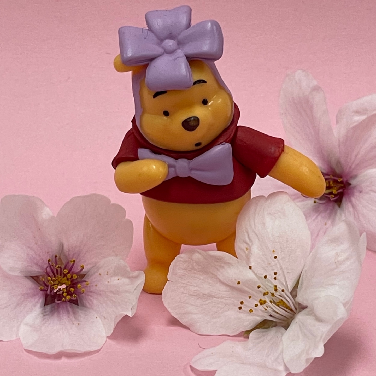 🌸벌써부터 벚꽃 떨어지기 시작🌸