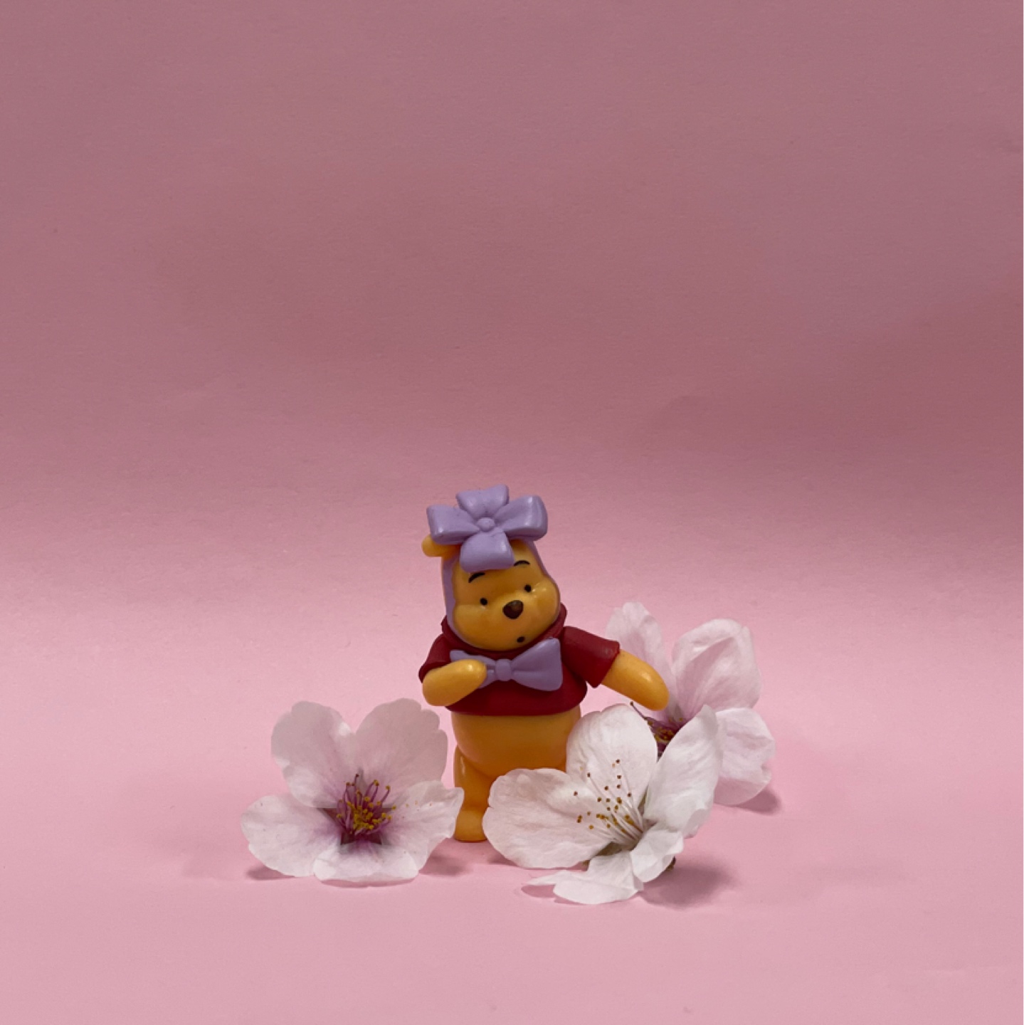 🌸벌써부터 벚꽃 떨어지기 시작🌸