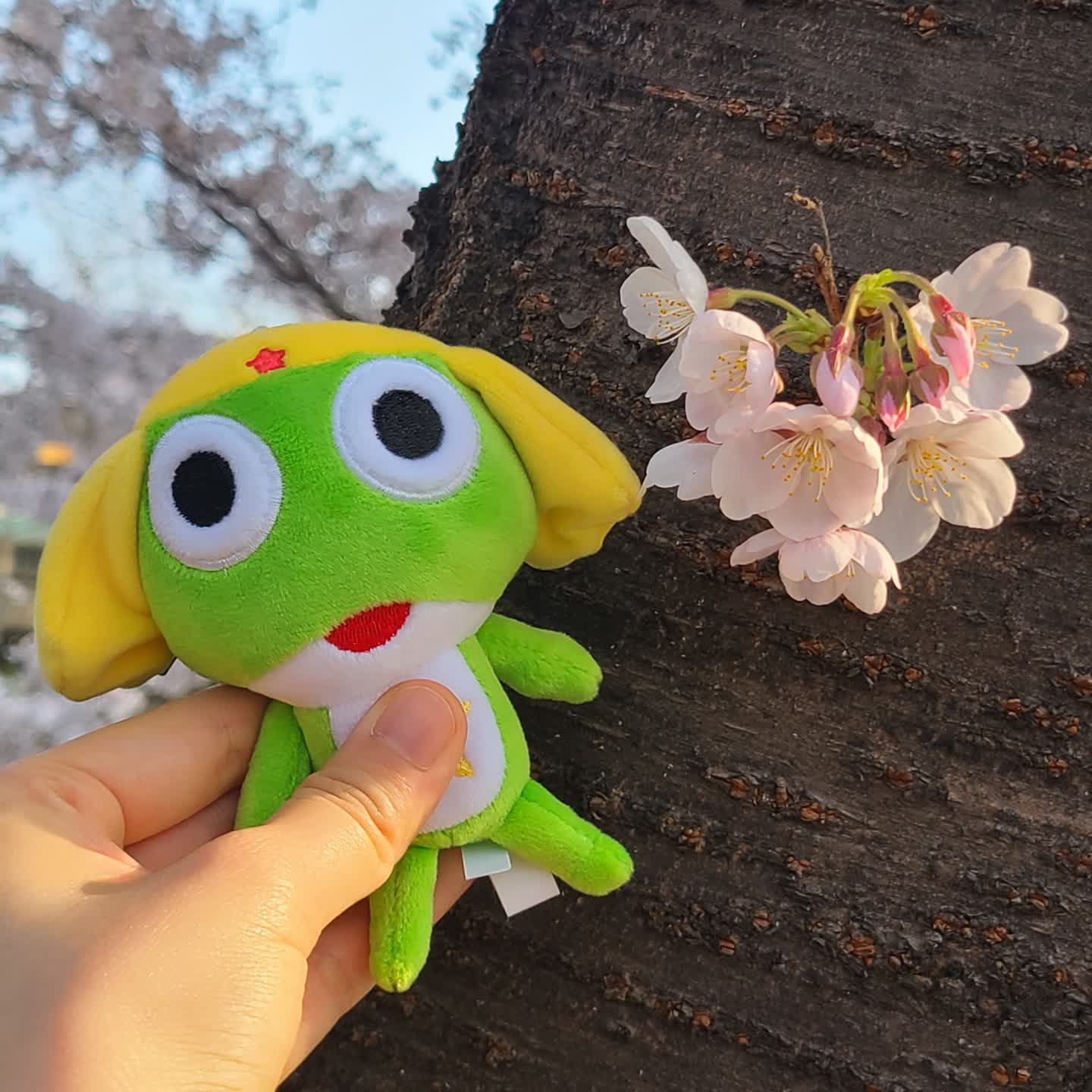 봄이 그렇게도 좋냐, 바보 개구리 💓