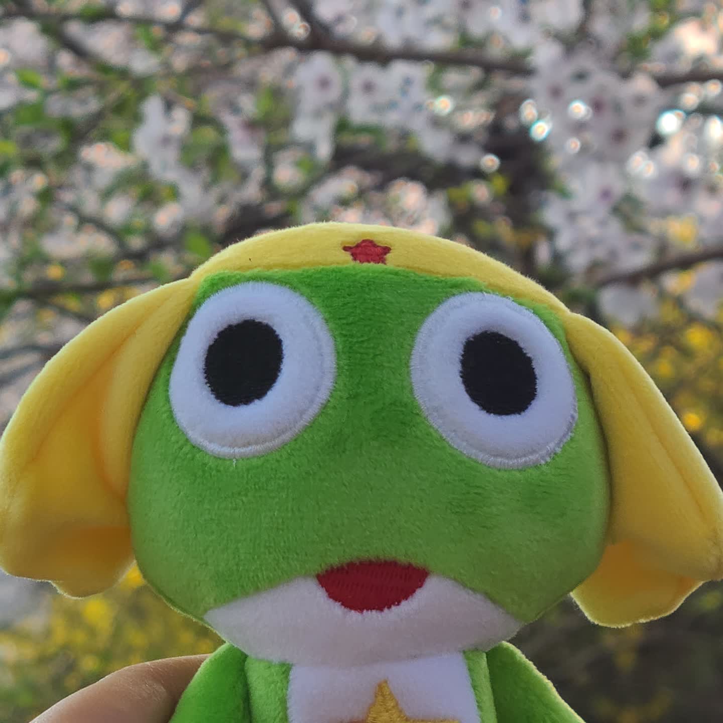 봄이 그렇게도 좋냐, 바보 개구리 💓