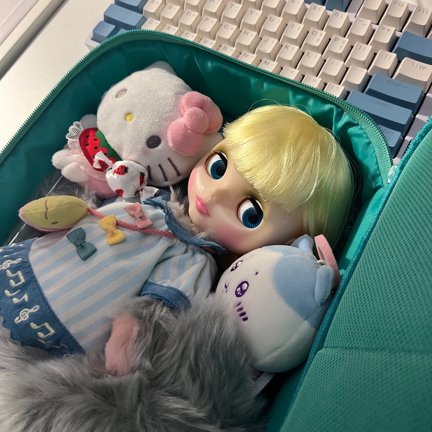 고양이 셋💗 키티/조이/하치