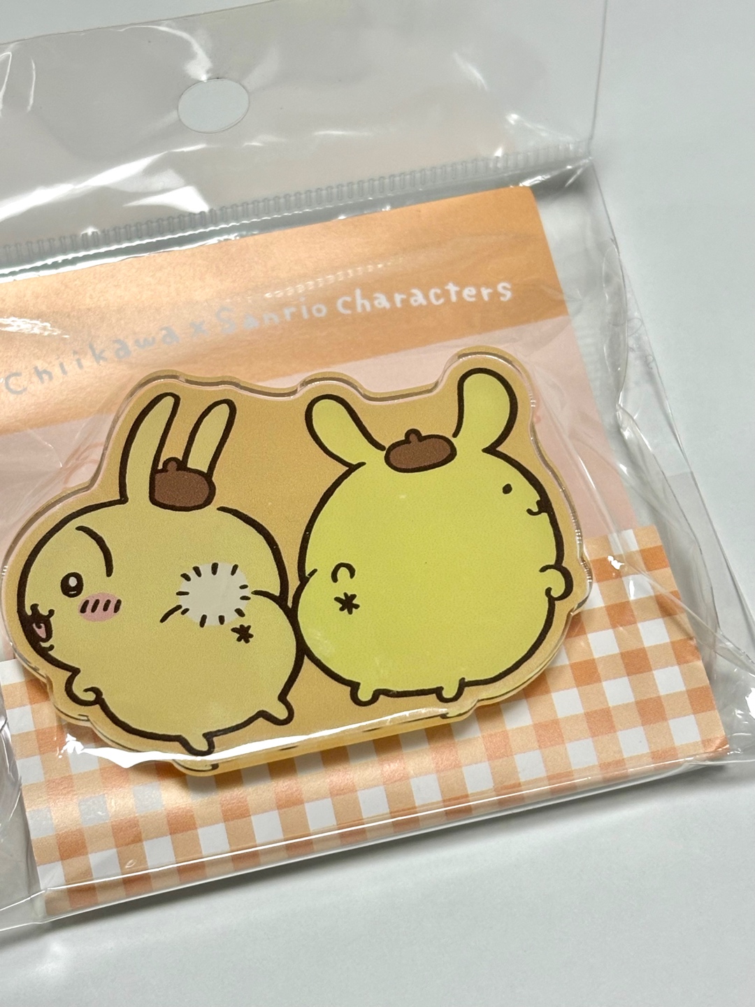 우사기와폼푸💛