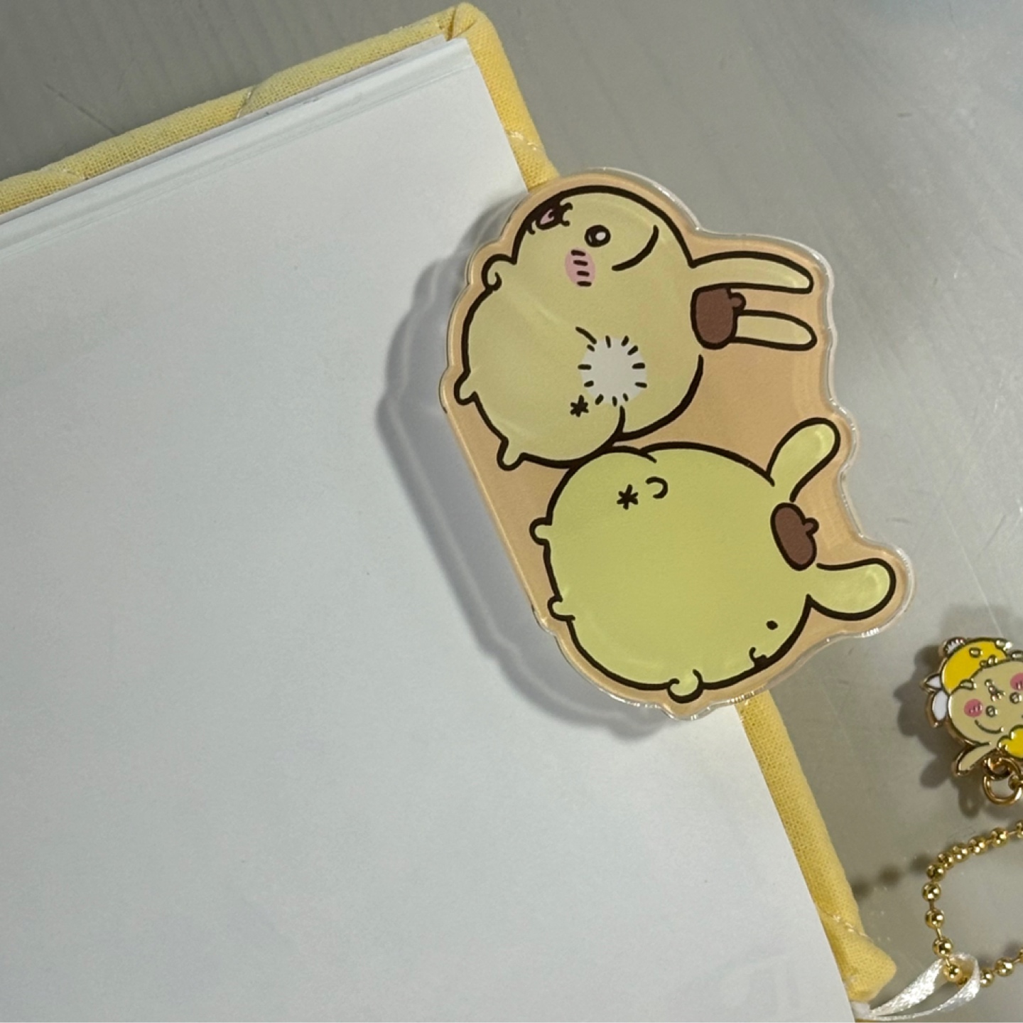우사기와폼푸💛