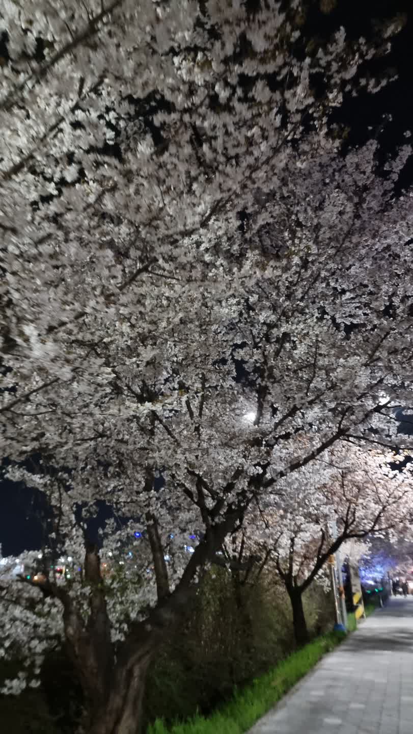 이뻤던 꽃은 이제 진짜 굿바이네요