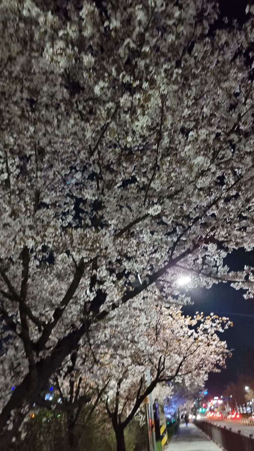 이뻤던 꽃은 이제 진짜 굿바이네요