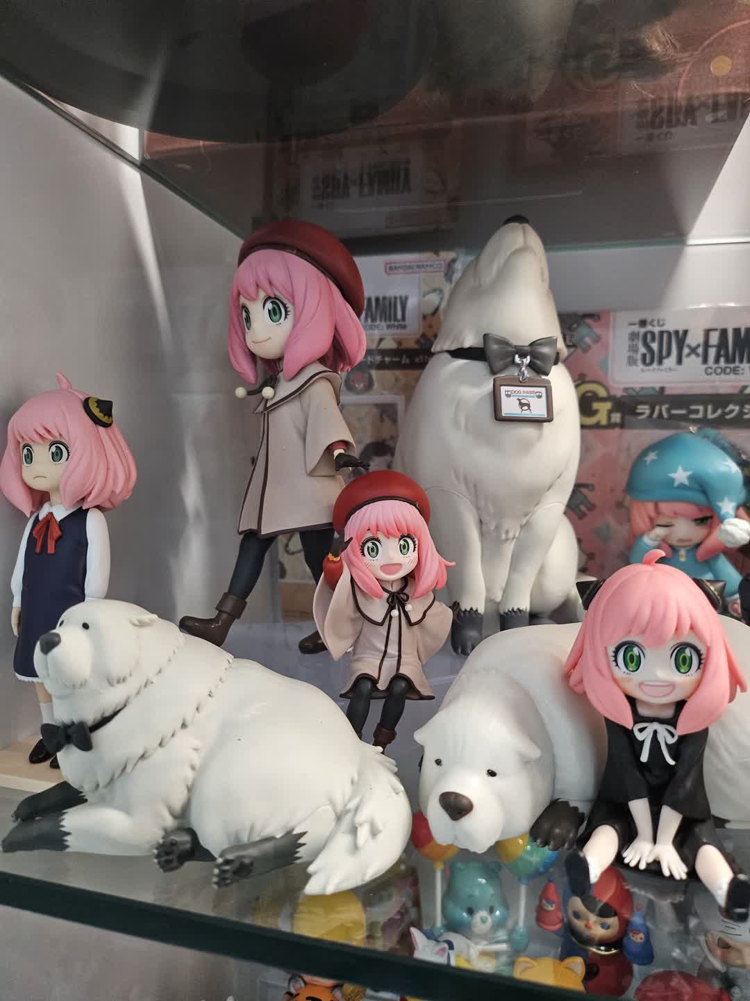 콜리 이벤트 당첨 아냐 초코노세🥰