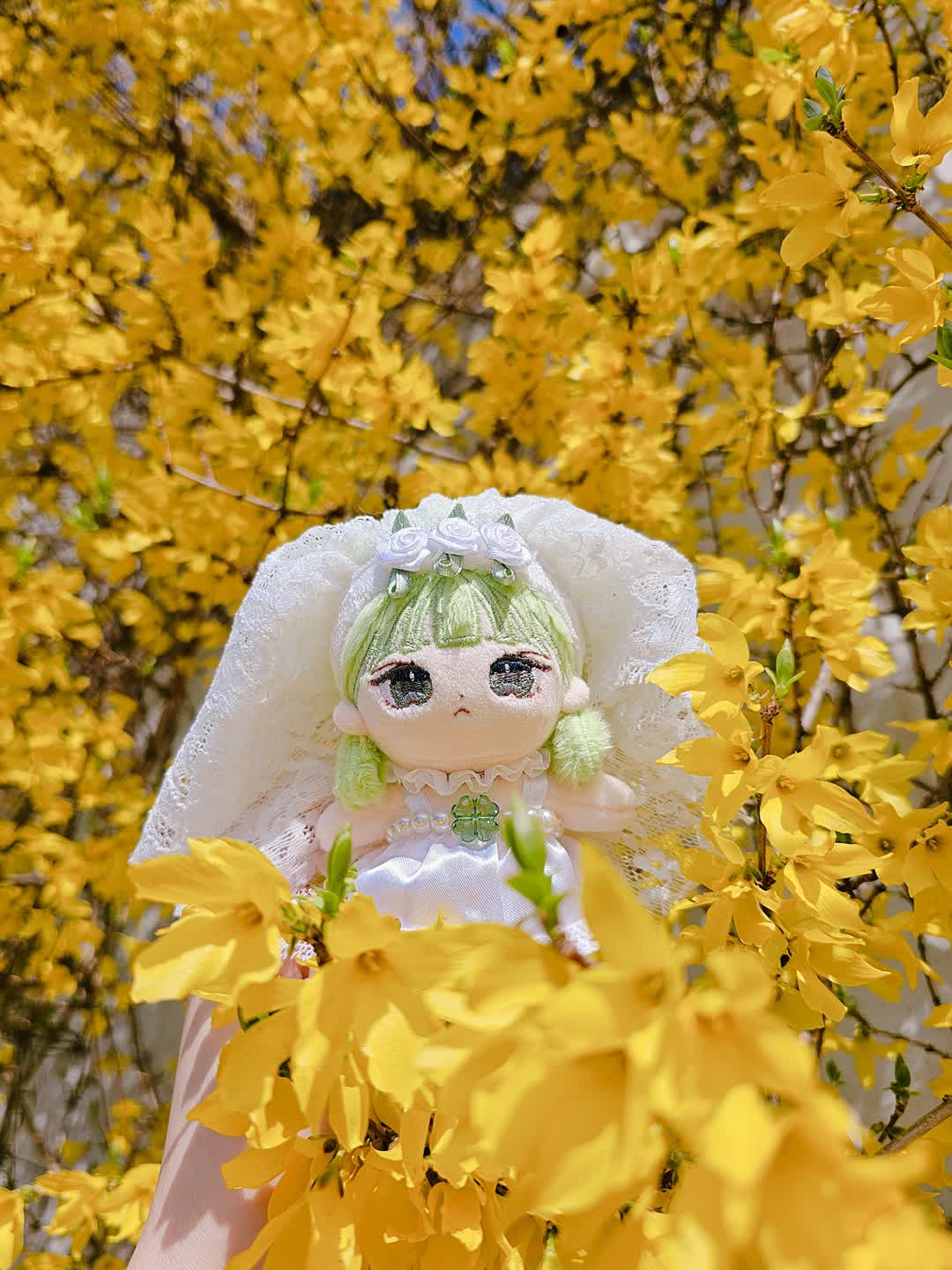 💚포포💚