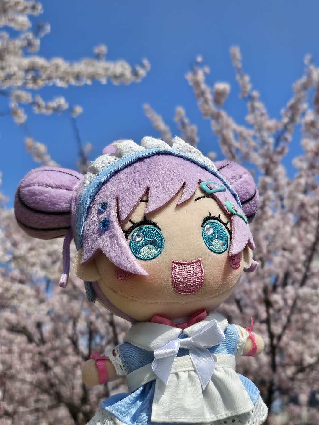벚꽃은 항상 옳다🌸