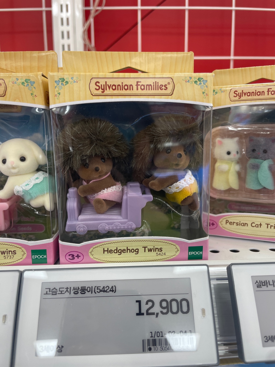 실바니안 아기고슴도치