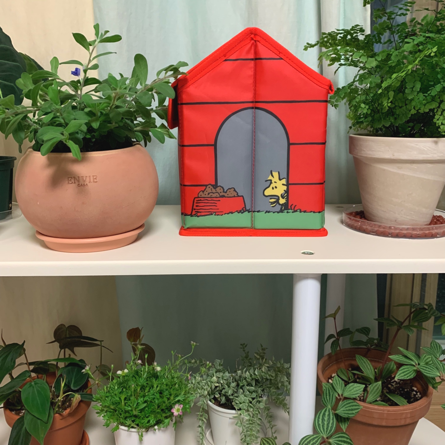 🏠