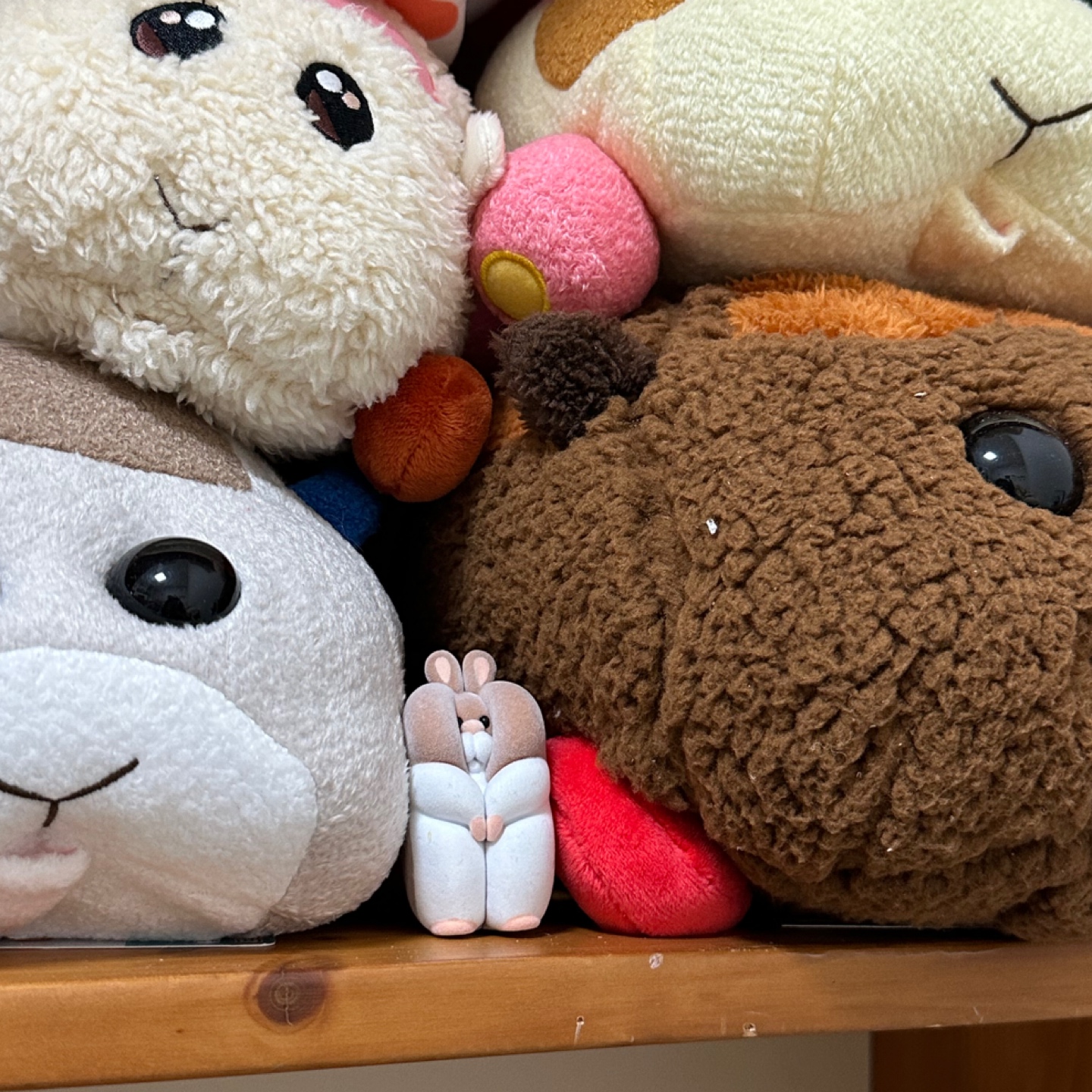 모루카사이에 껴있는 햄찌