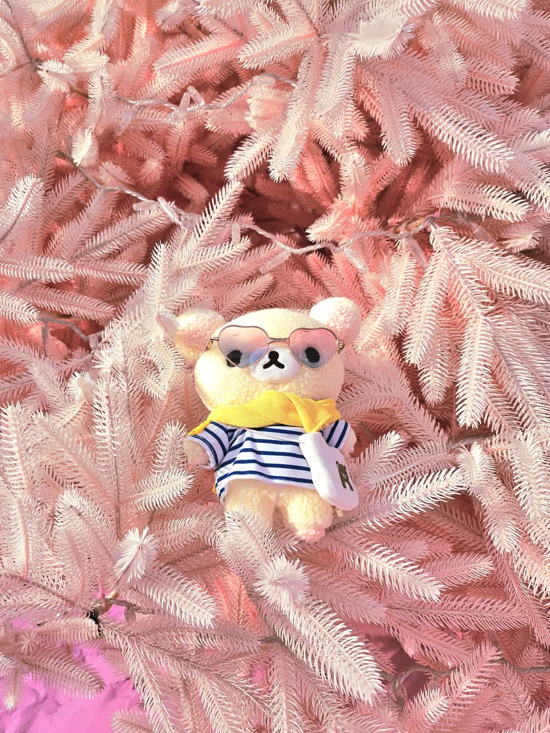 뱅가드코리락과 핑크세상💕