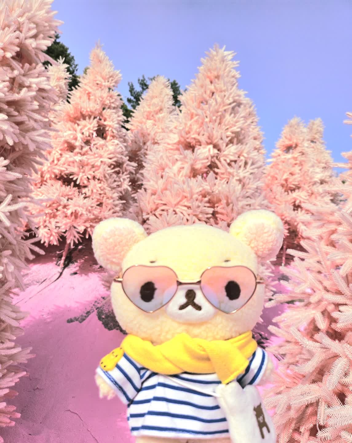 뱅가드코리락과 핑크세상💕