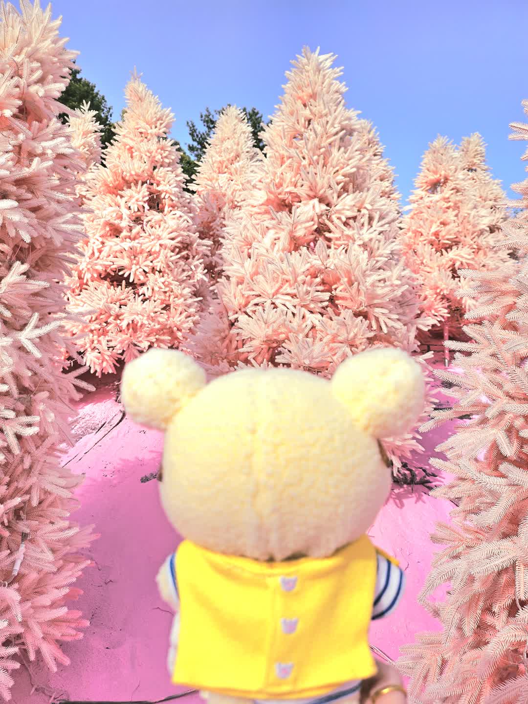뱅가드코리락과 핑크세상💕