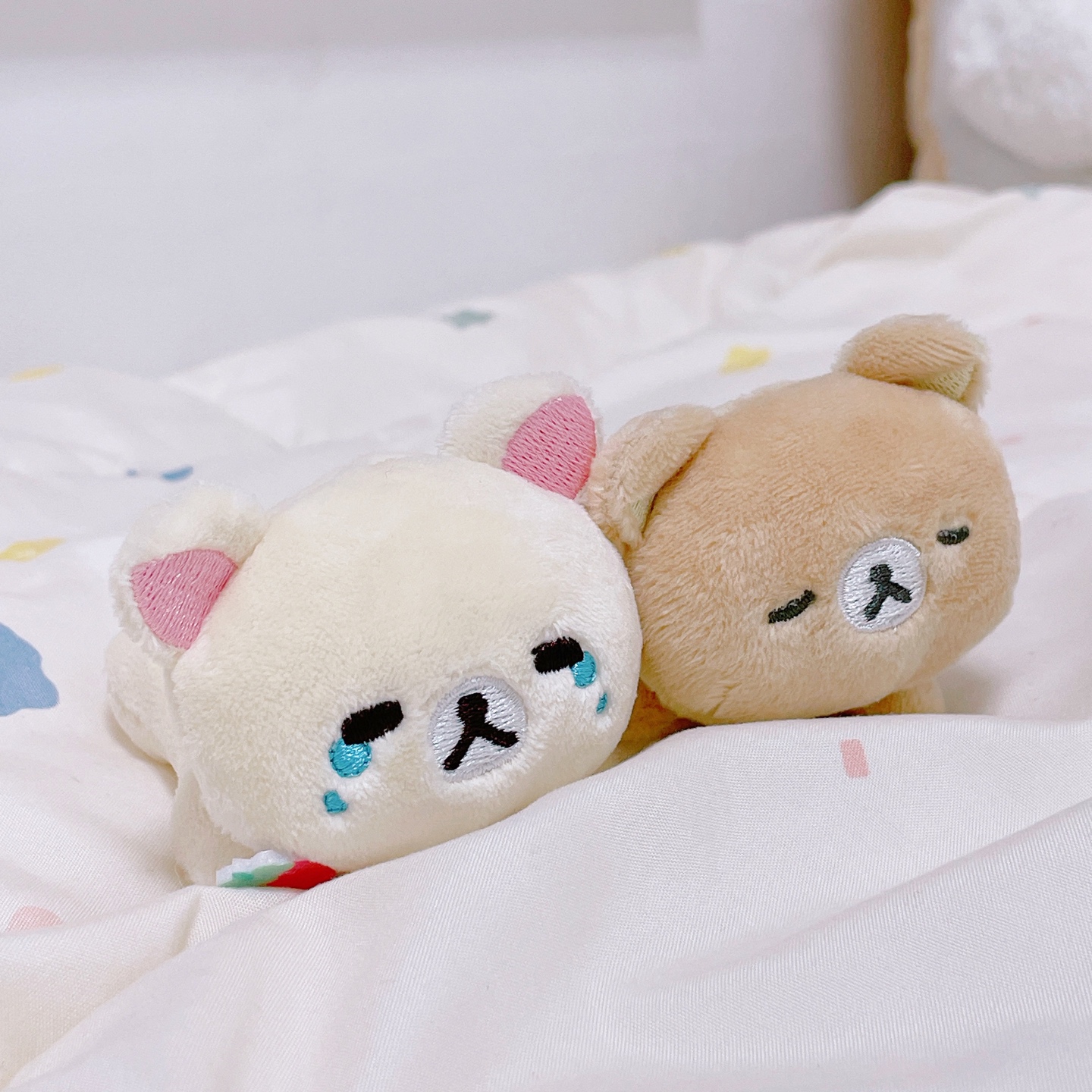 쪼꼬만 딸기 코리락이들🐻‍❄️🍓