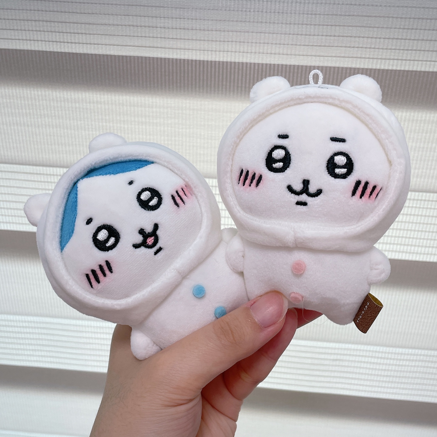 농담곰 하치와레 + 치이카와