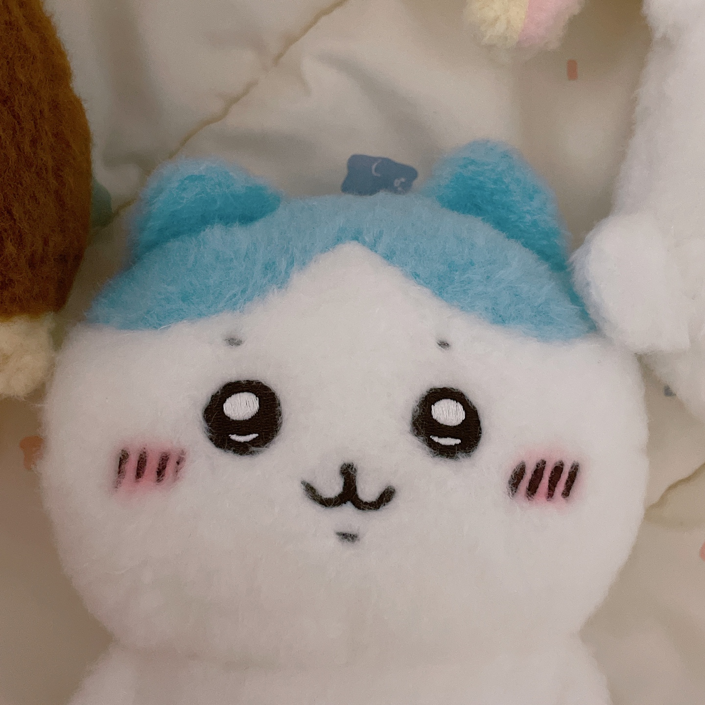 치이카와 아이들 풍차샷☺️❤️