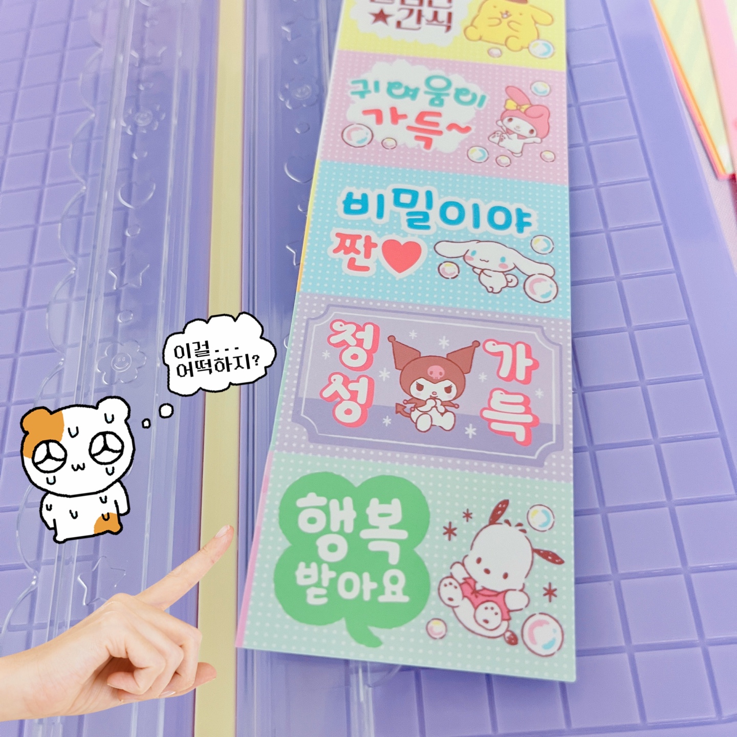 산리오×포용메이커💗