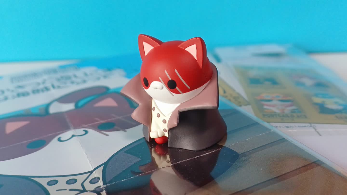 🌊❤️🐱🌊