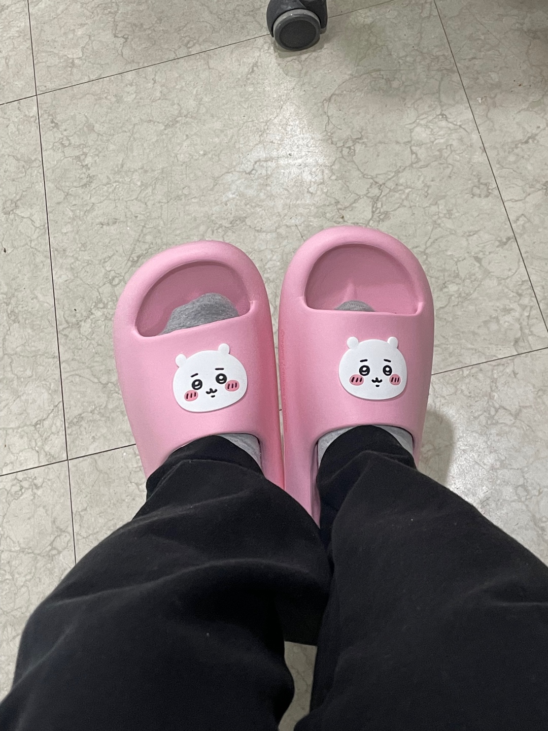 먼작귀 모음zip