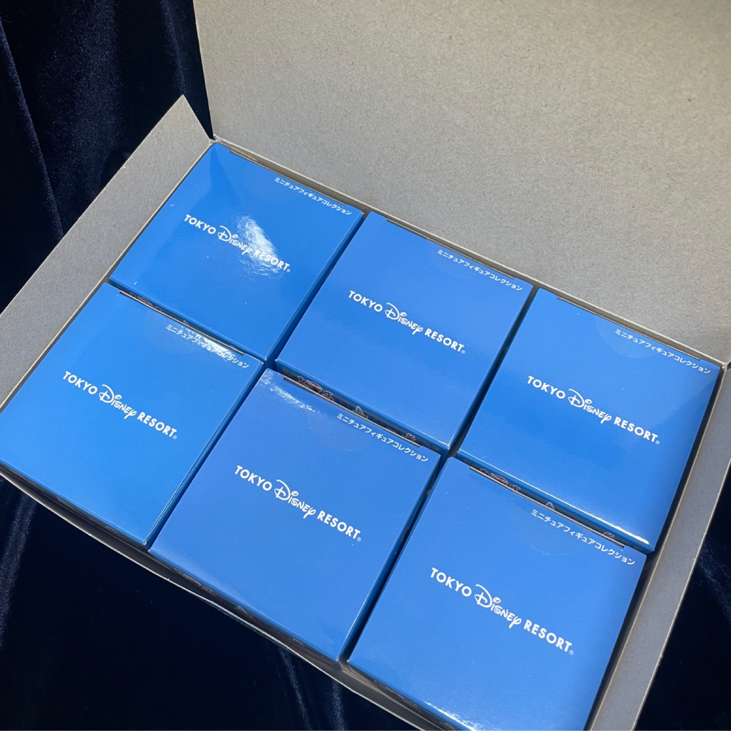 오랫만에 몬주 풀박📦