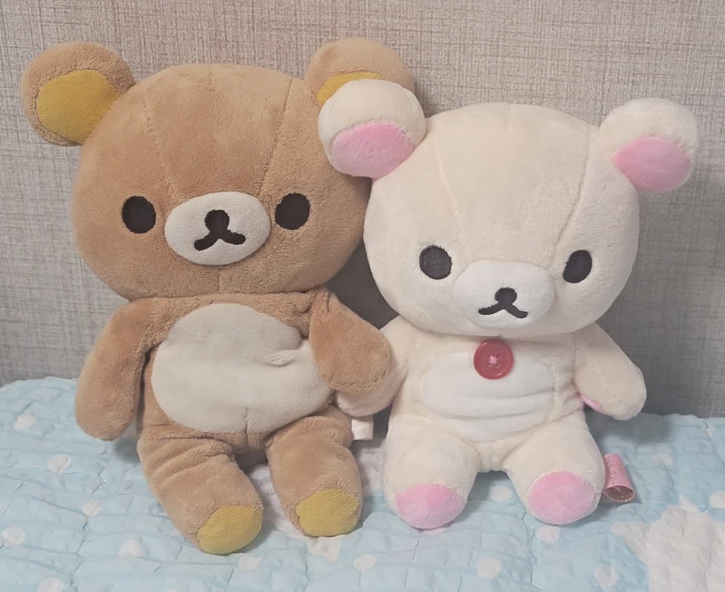 코리락쿠마 넘넘 귀여운것 😍
