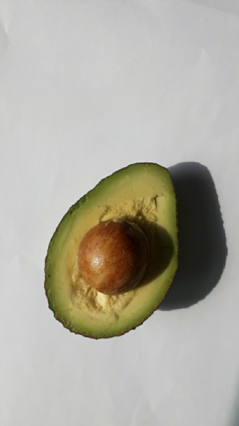 아보카도🥑