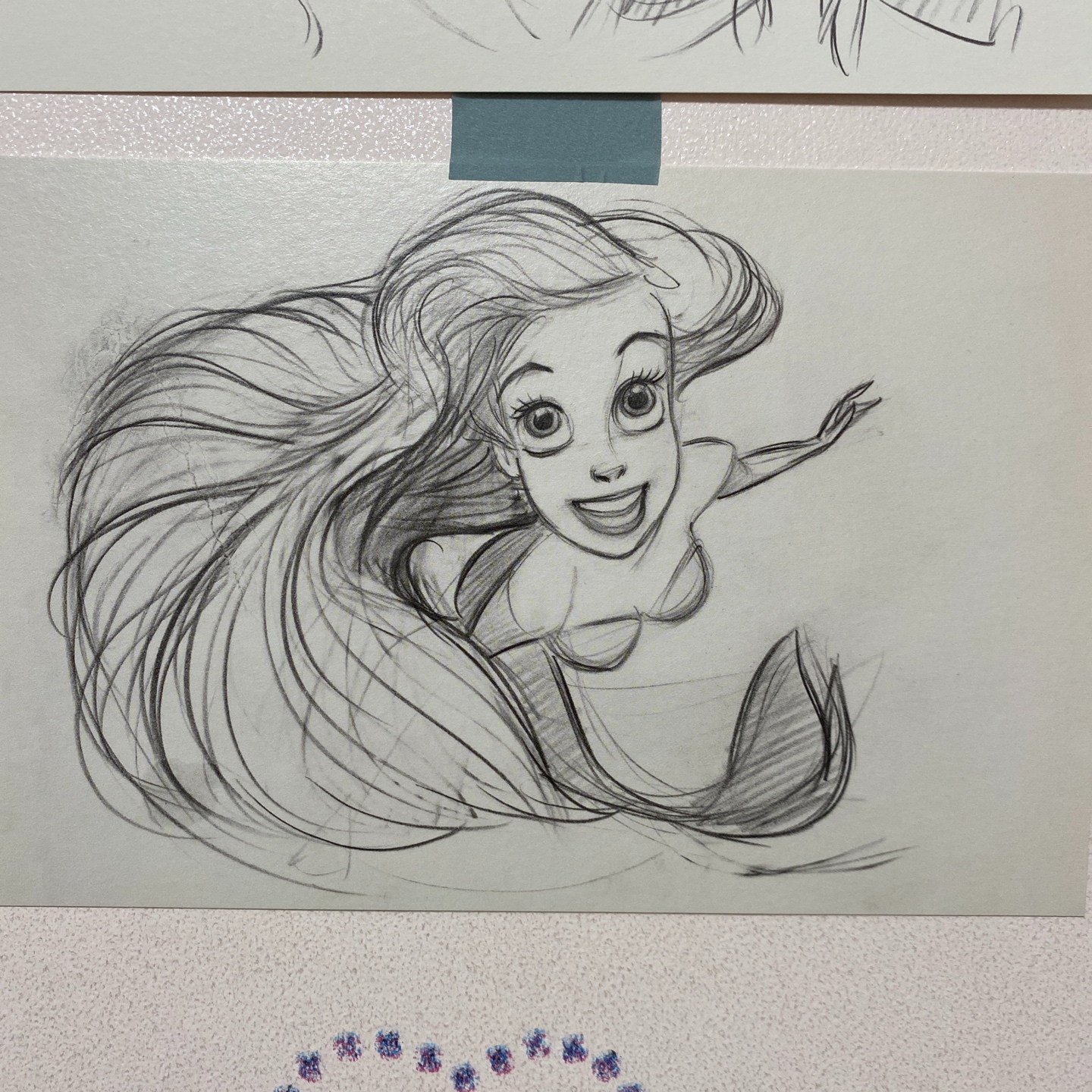 엽서