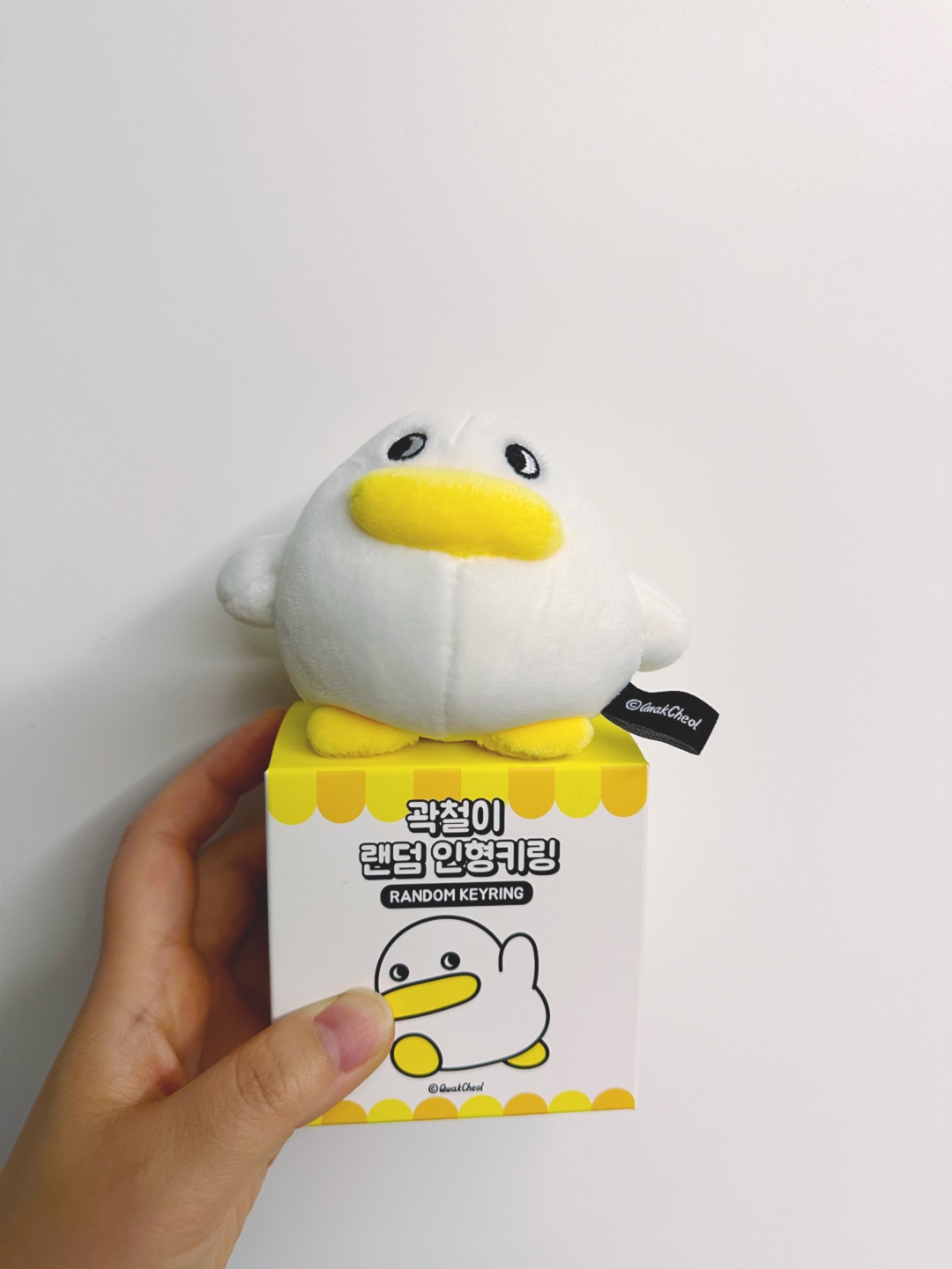 곽철이 키링