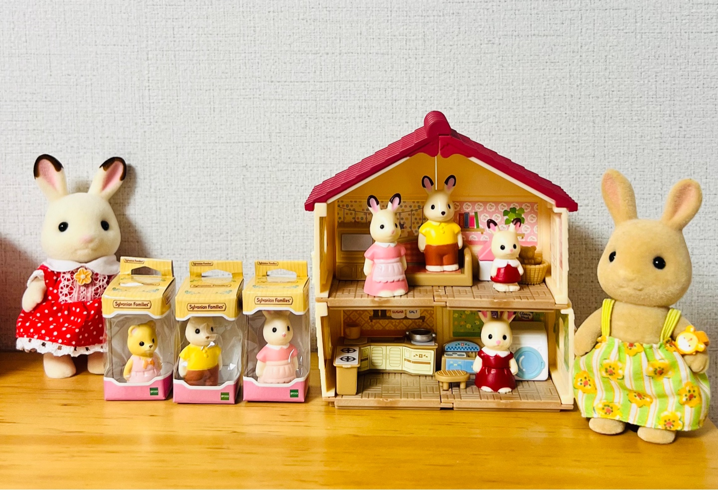 실바니안패밀리 붉은지붕집🏠