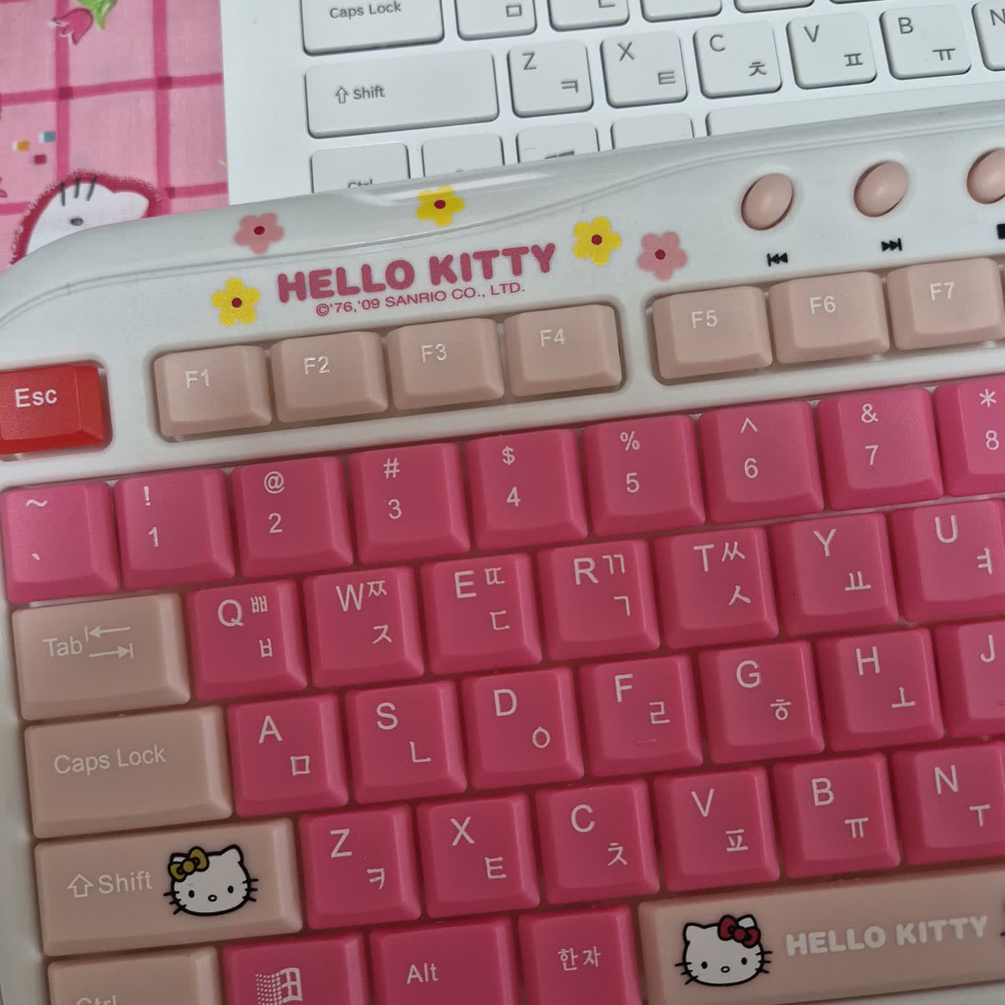 🩷키티 키보드🩷