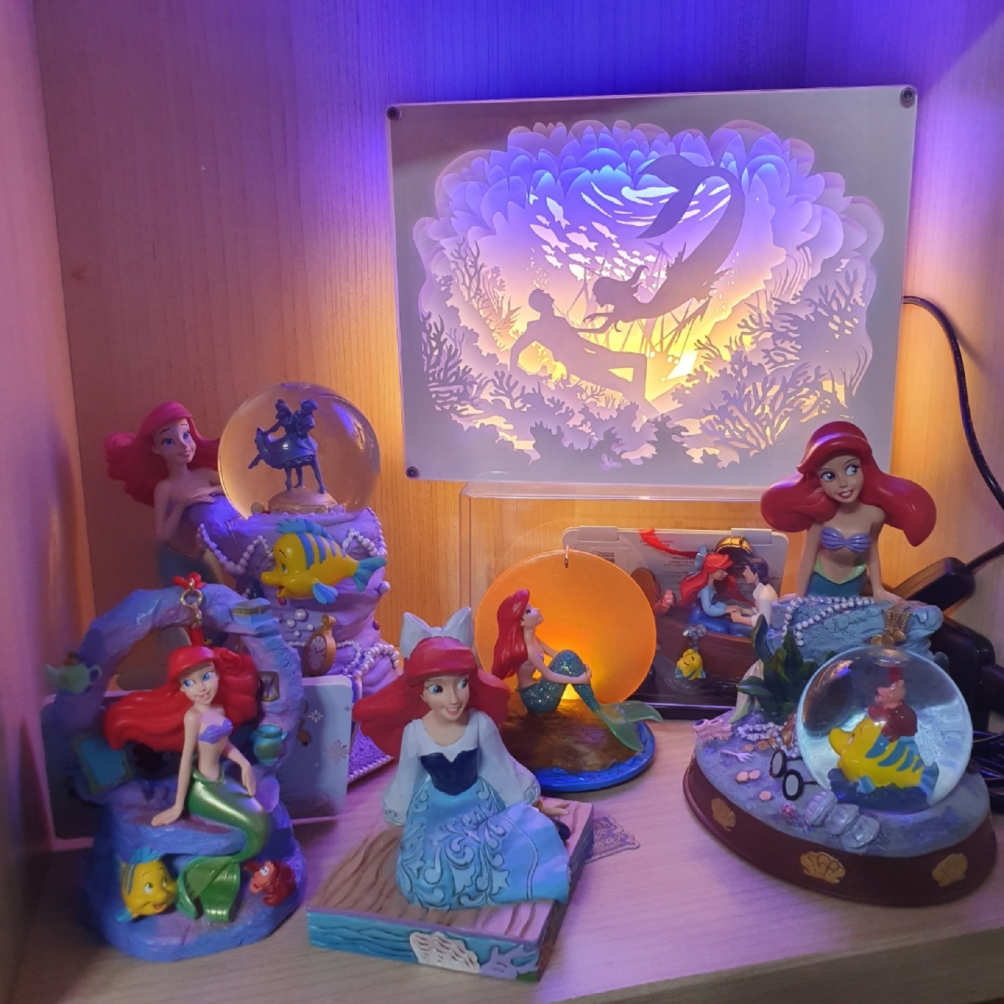 에리얼존🐠