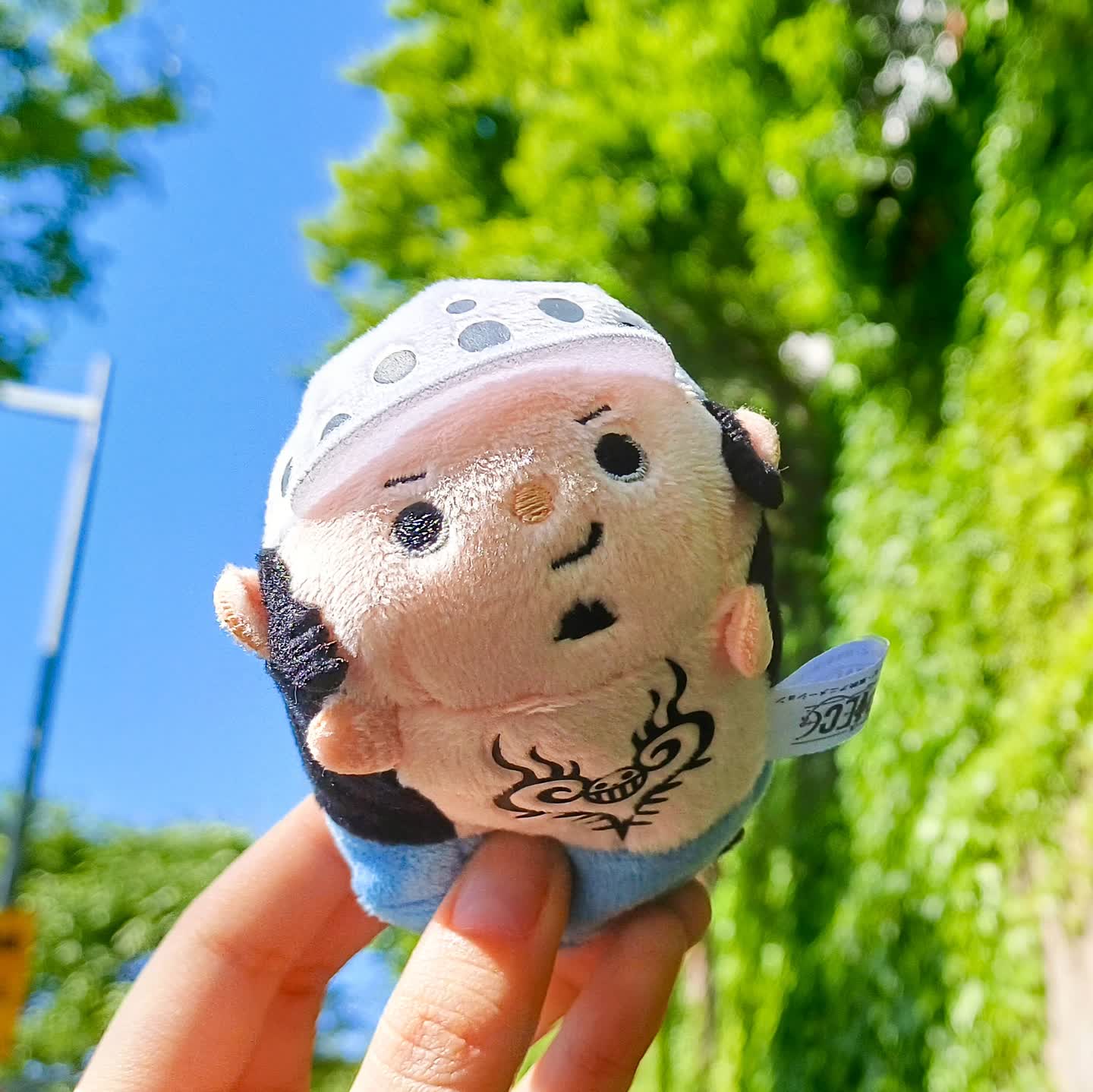 🩵😊🌿🌿