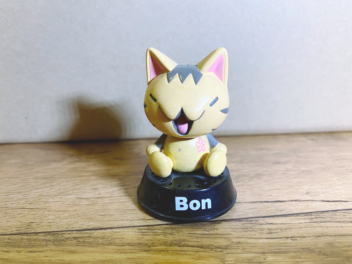 고양이 Bon