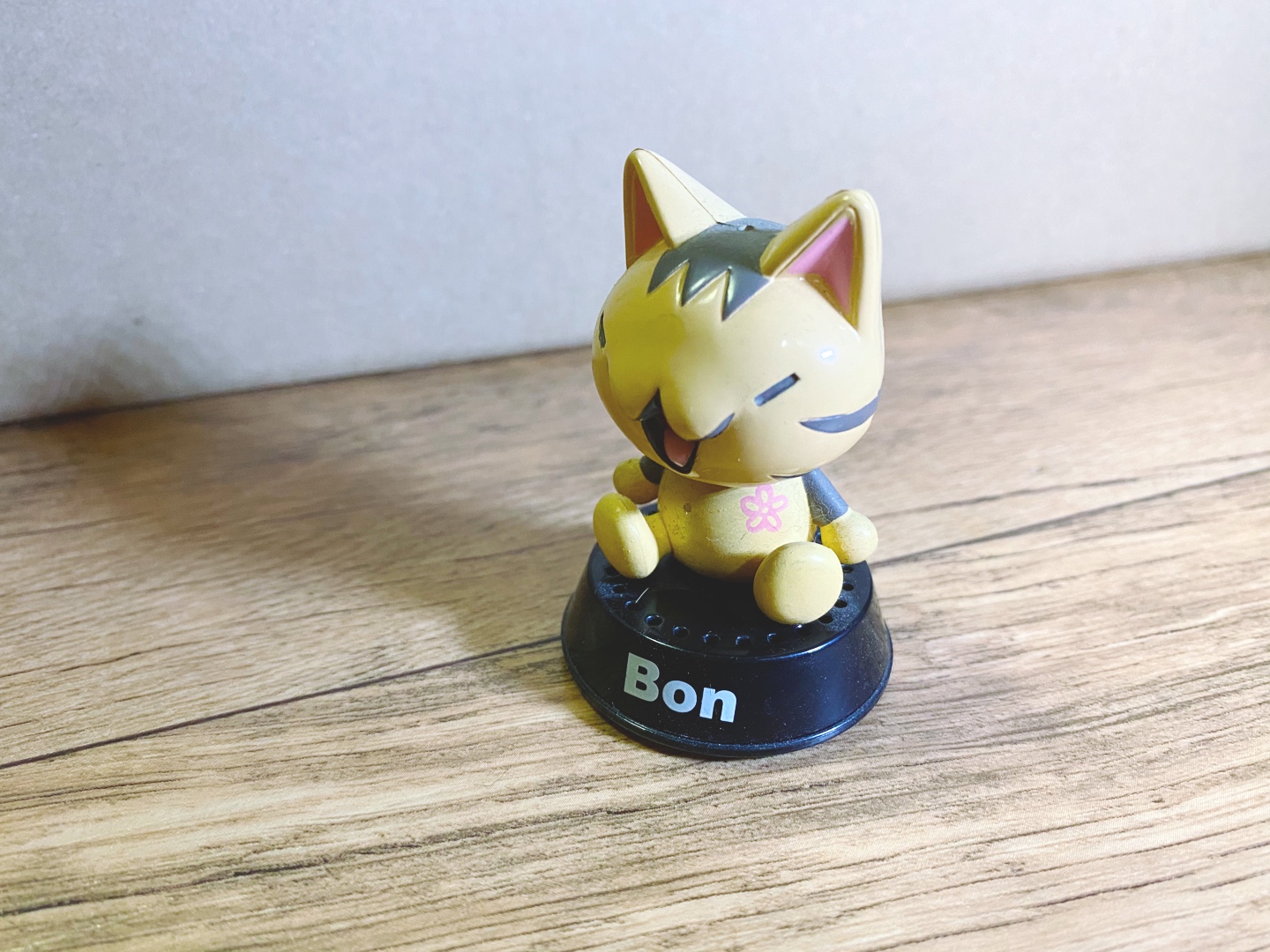 고양이 Bon