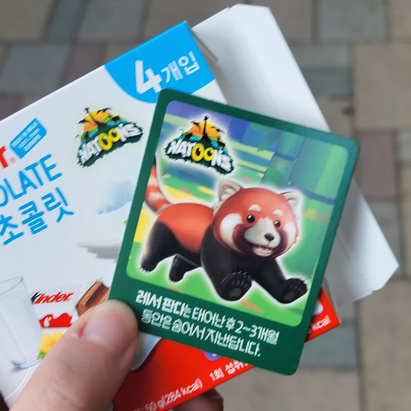 요즘 킨더초콜렛
