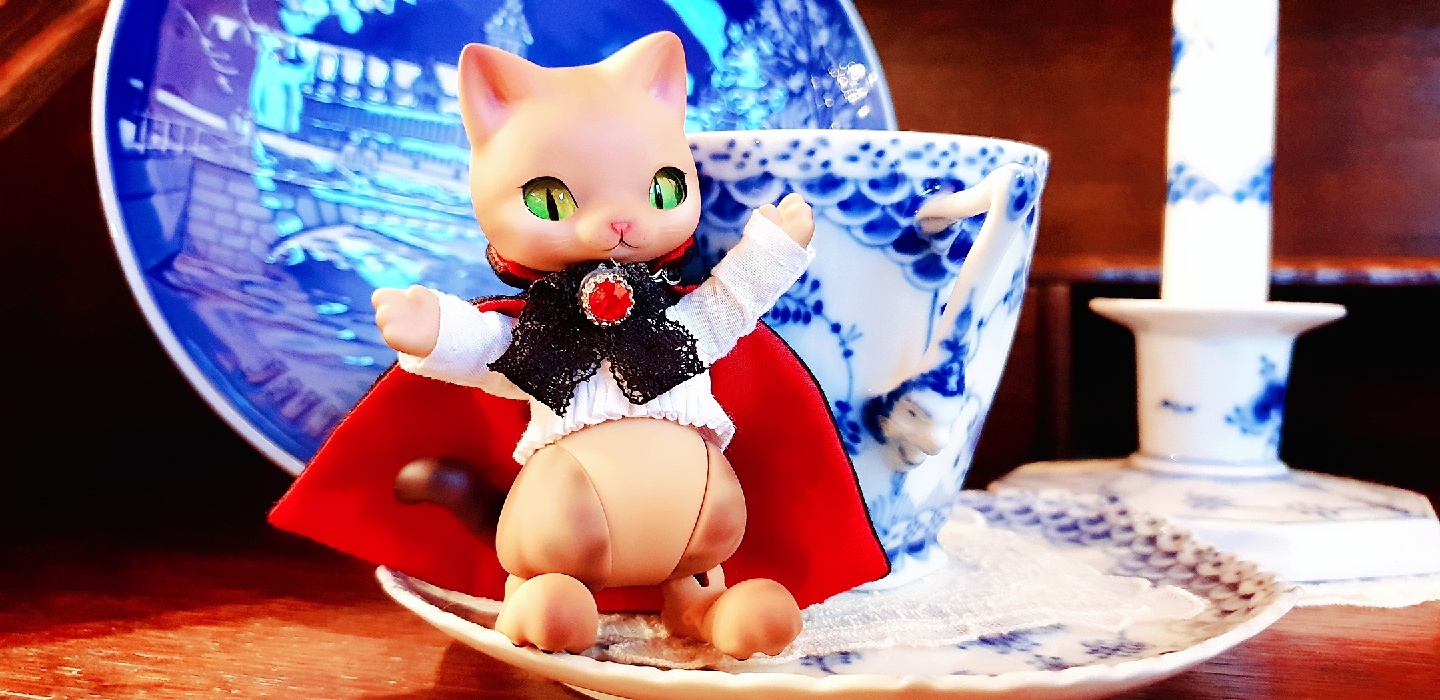 귀족냥님♡