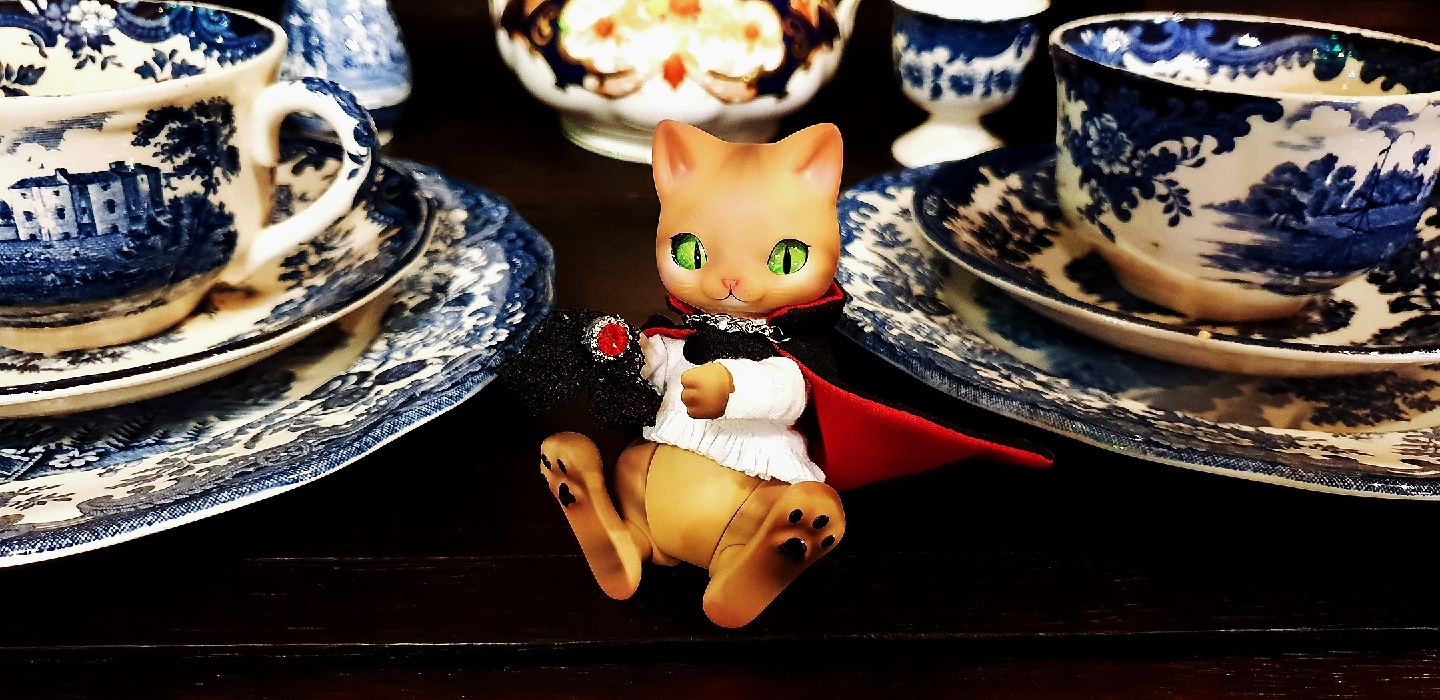 귀족냥님♡