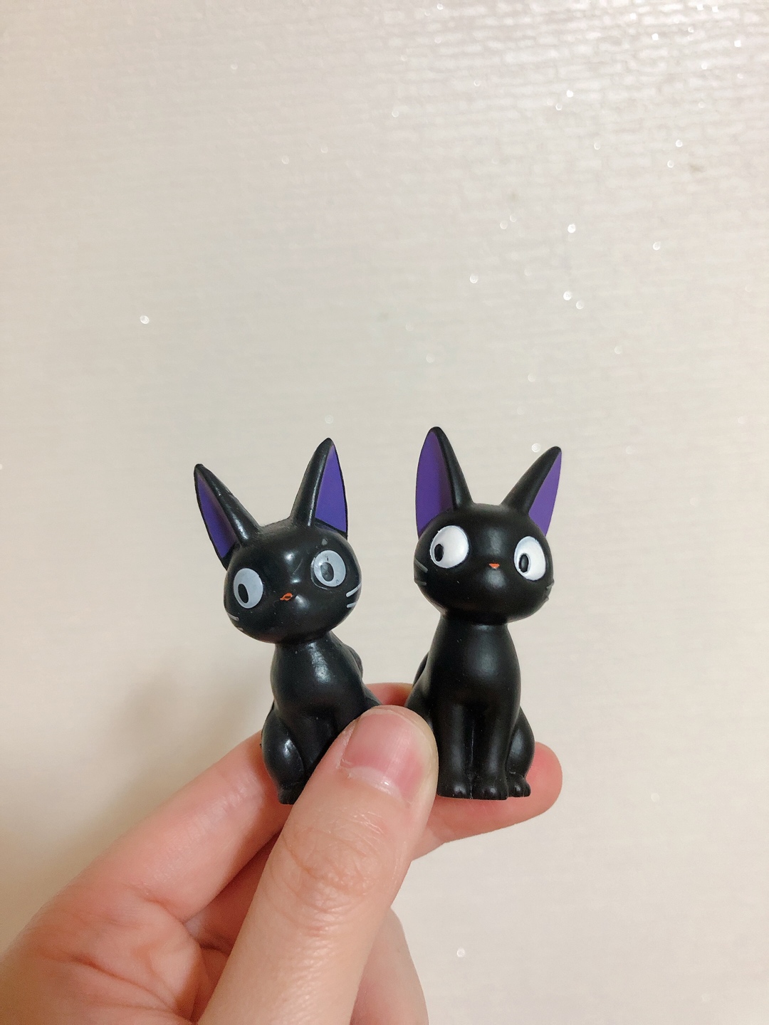 지지🐱🖤