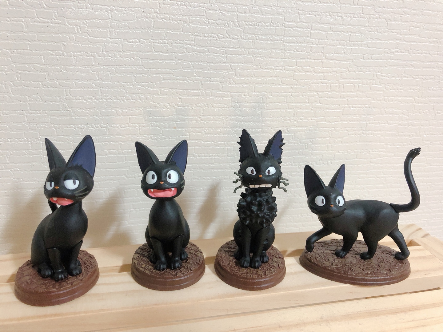 지지🐱🖤