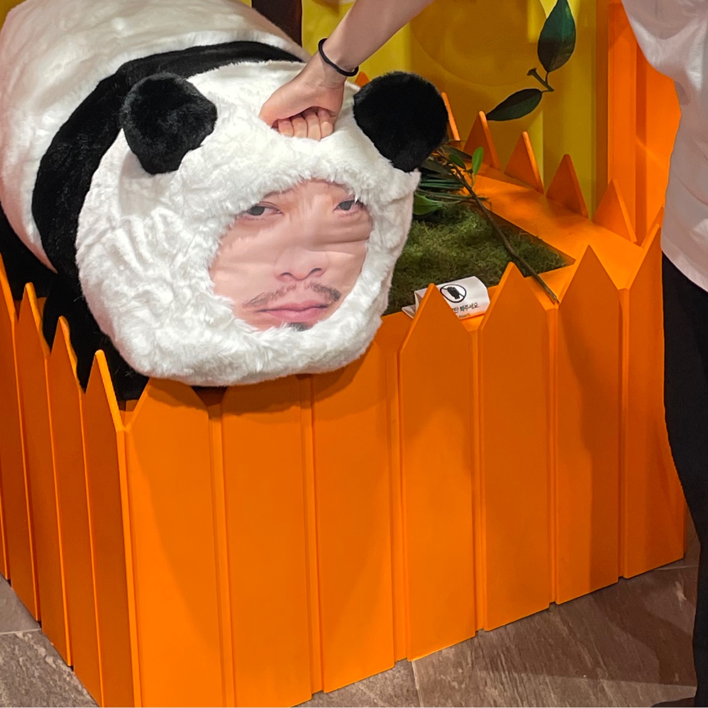 침착맨 팝업 후기