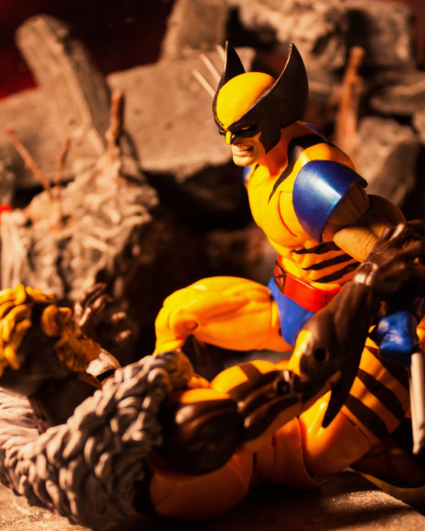The war of brothers