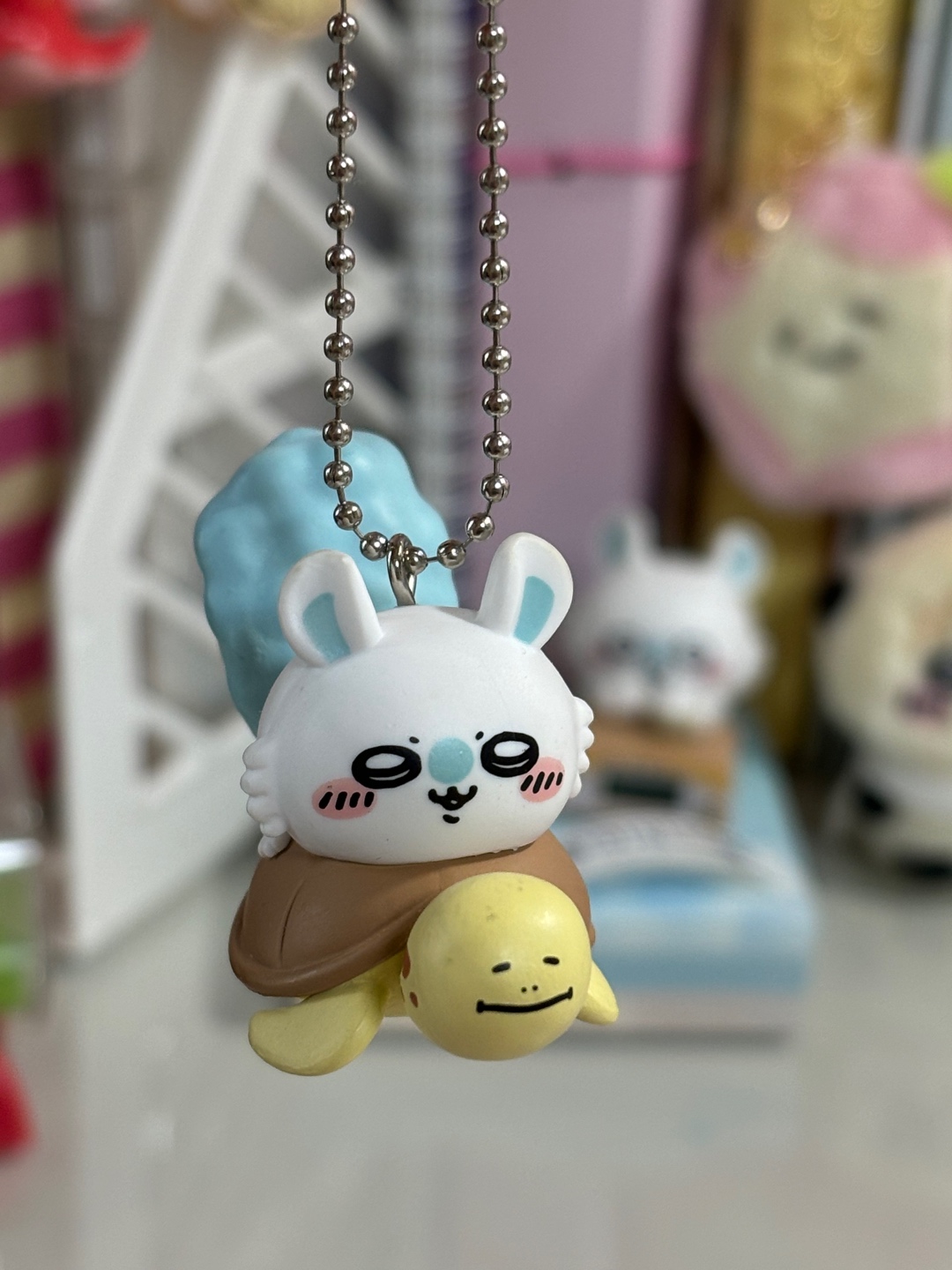 모몽가🐢