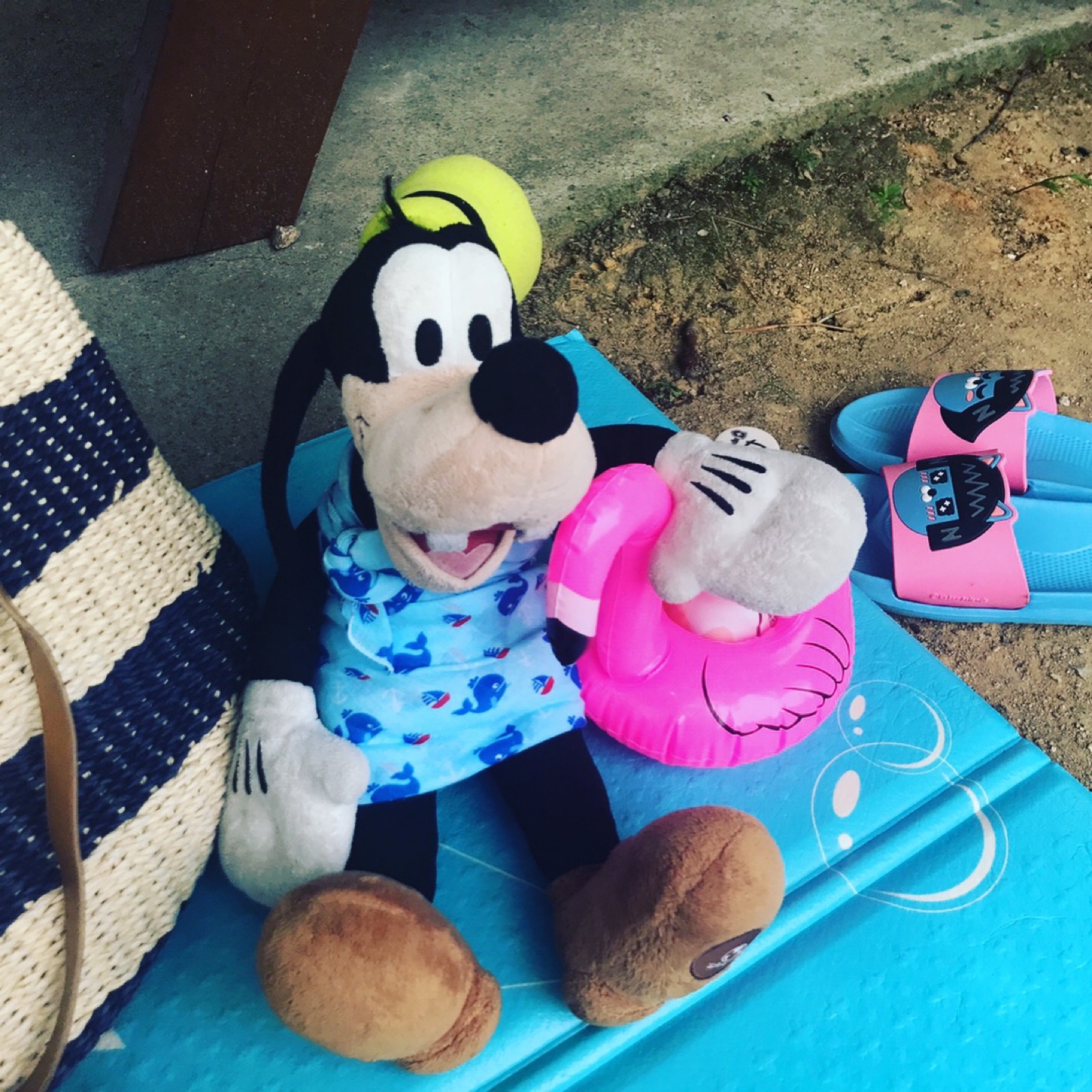 Goofy in summer