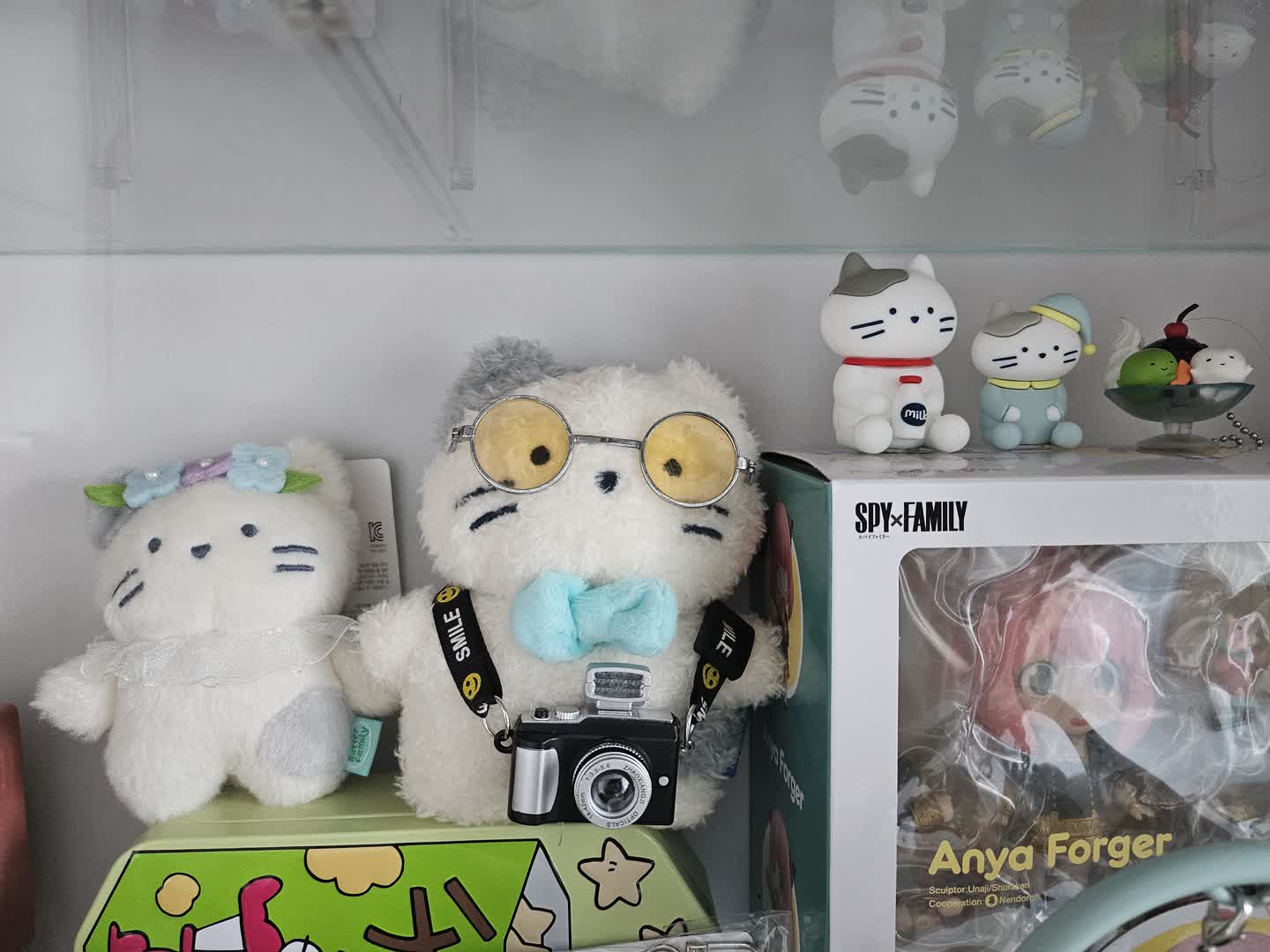 버터샵 밀크캣 😺