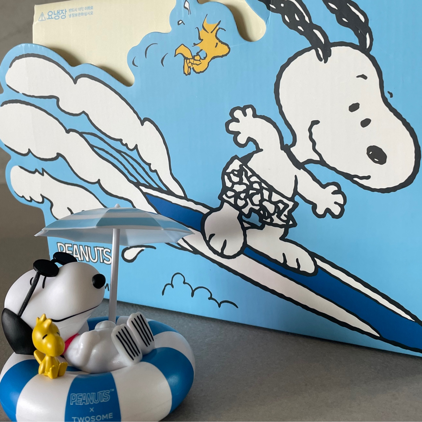 PEANUTS X TWOSOME