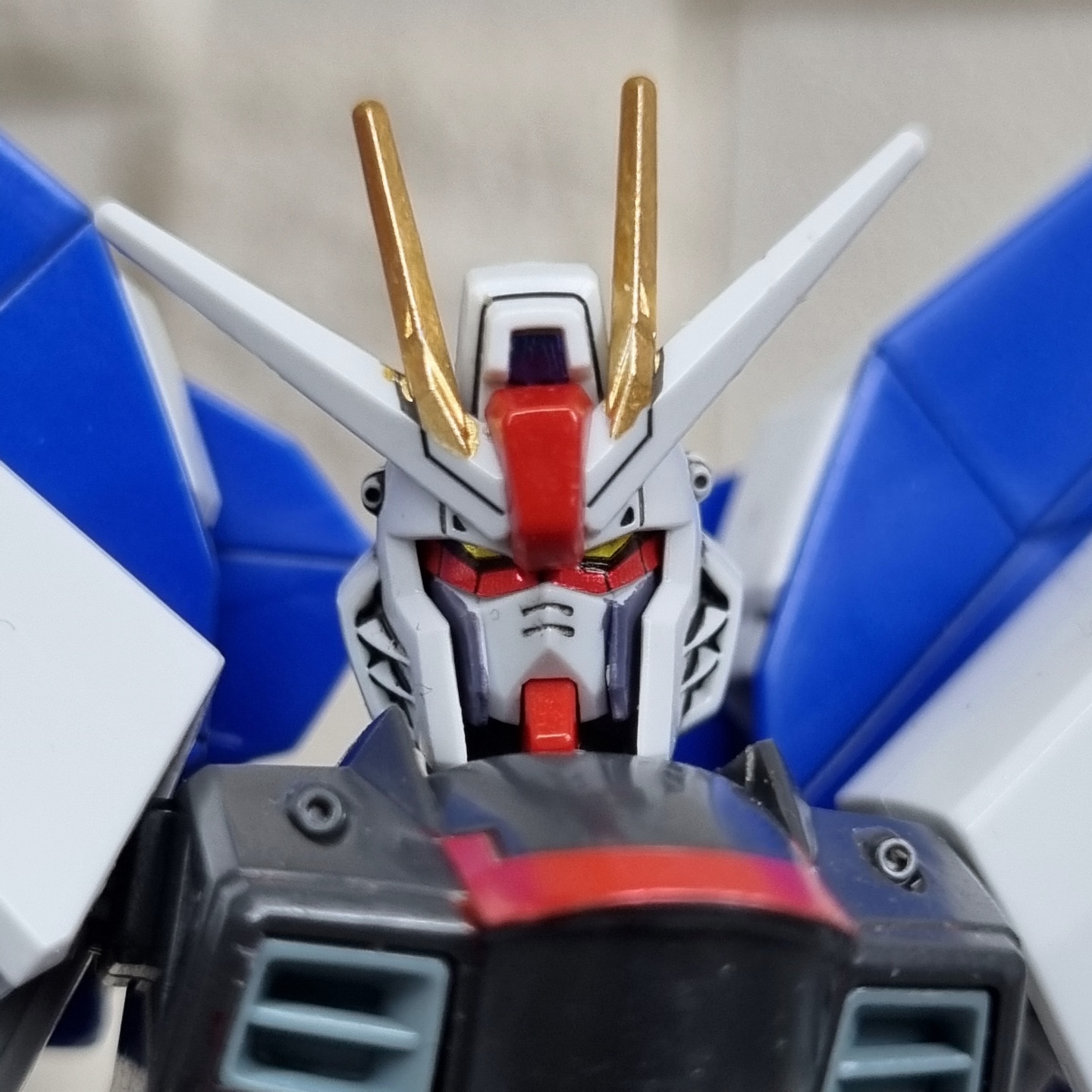[HG Gundam SEED] 프리덤 건담 (미티어 유닛 합본)